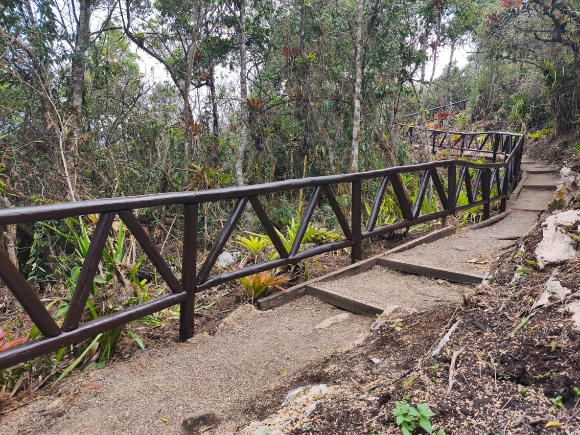Foto